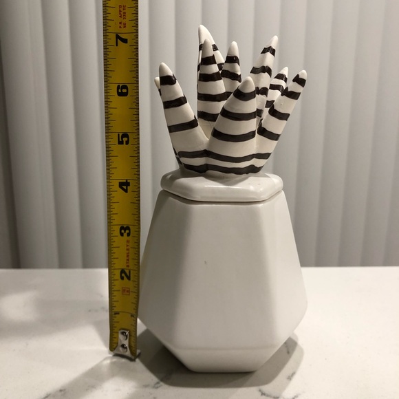 Succulent Ceramic Jar Nate Berkus - Picture 3 of 12